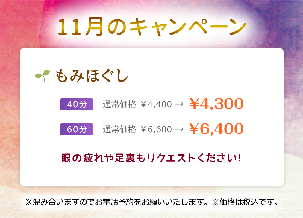 11月のキャンペーン！