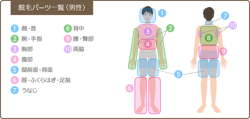 パーツ表男性