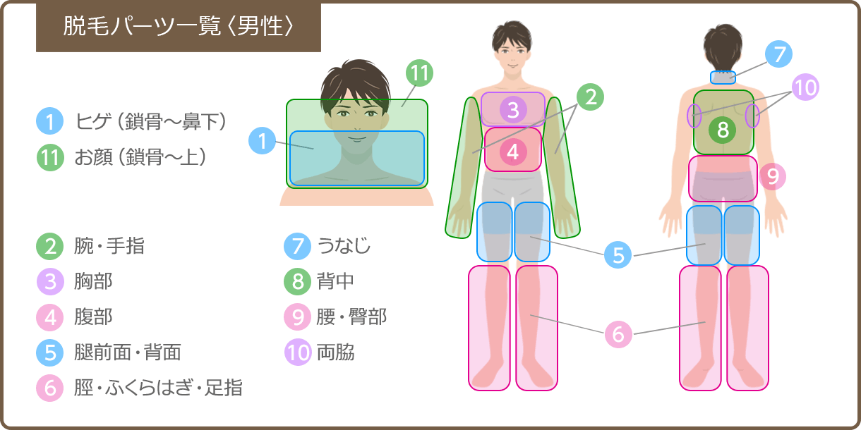 パーツ表男性