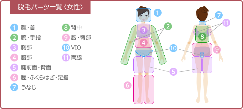 パーツ表女性